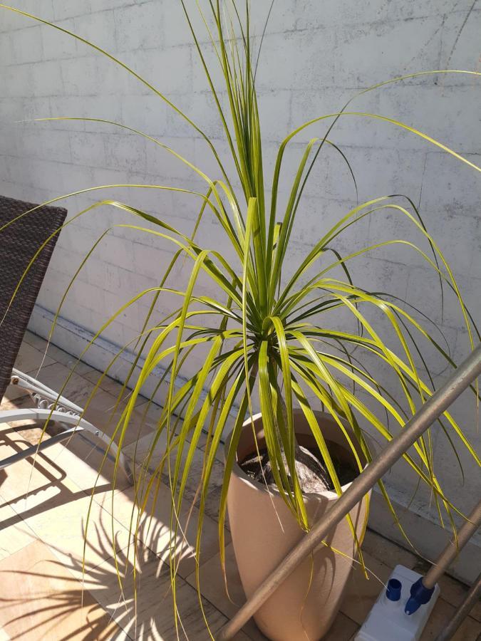 Itauna Saquarema Beach House Exterior photo